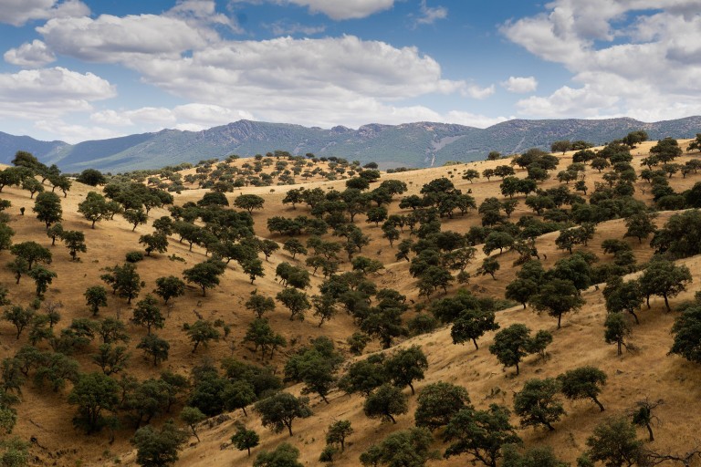 Senderismo en el Parque Natural del Valle de Alcudia y Sierra Madrona, Ciudad Real