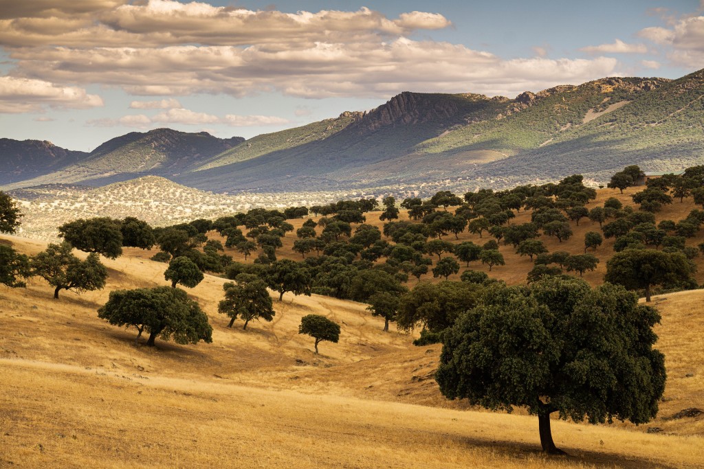 Senderismo en el Parque Natural del Valle de Alcudia y Sierra Madrona, Ciudad Real