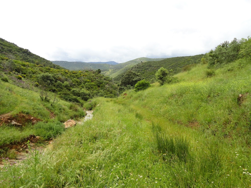 Senderismo en el Parque Natural del Valle de Alcudia y Sierra Madrona, Ciudad Real