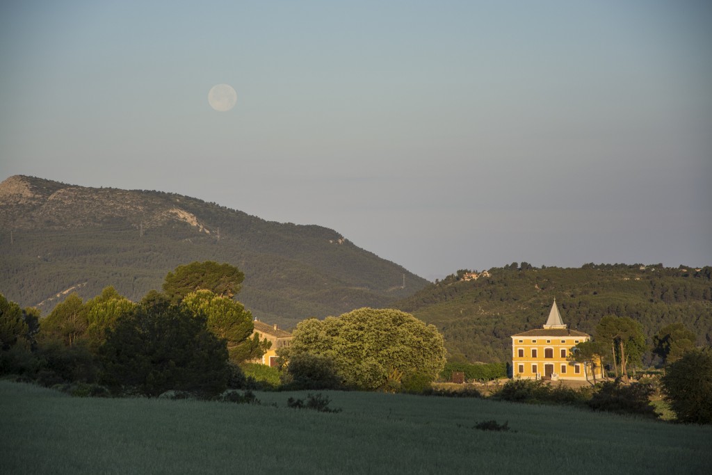 Senderismo en el Parque Natural Serra de Mariola, Alcoi