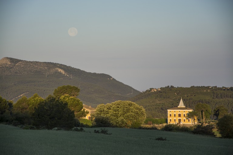 Senderismo en el Parque Natural Serra de Mariola, Alcoi