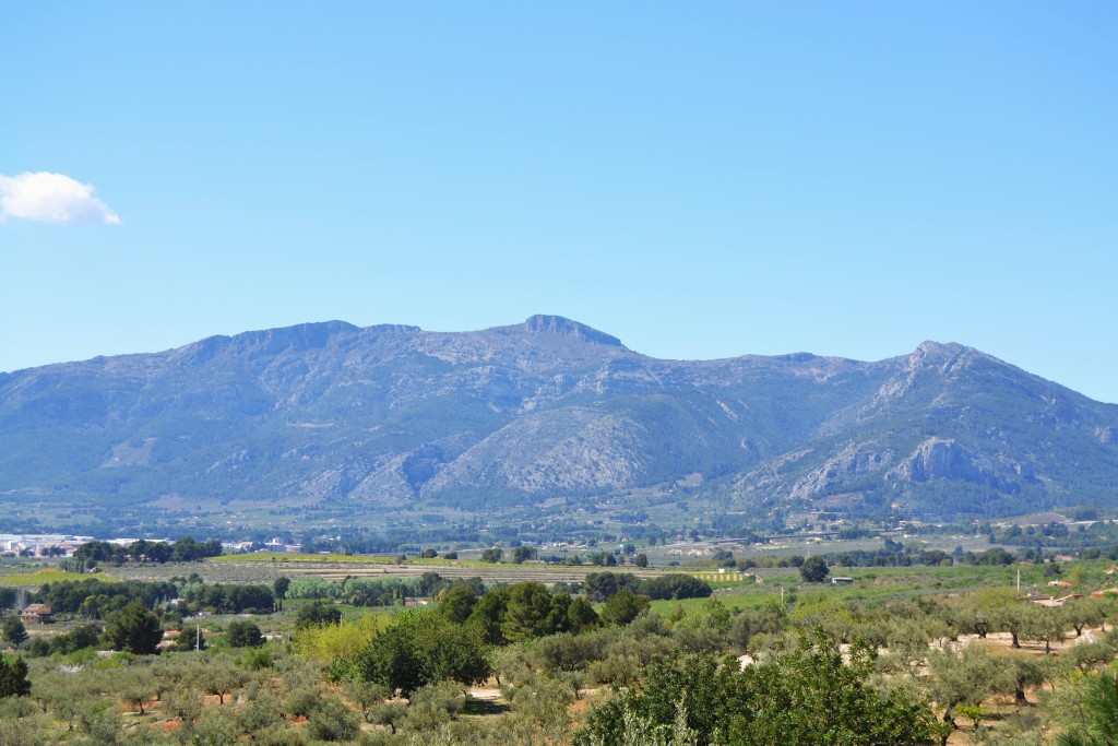 Senderismo en el Parque Natural Serra de Mariola, Alcoi