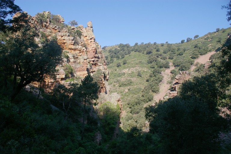 Senderismo en el Parque Natural Serra d’Espadà, Segorbe
