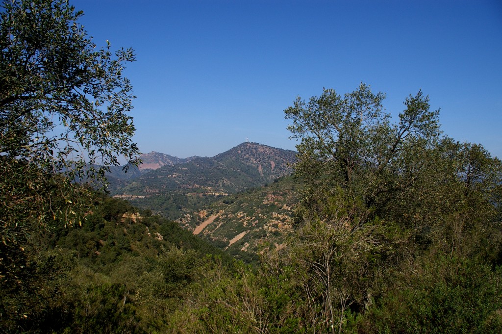 Senderismo en el Parque Natural Serra d’Espadà, Segorbe