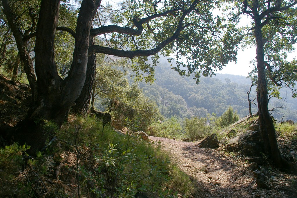Senderismo en el Parque Natural Serra d’Espadà, Segorbe