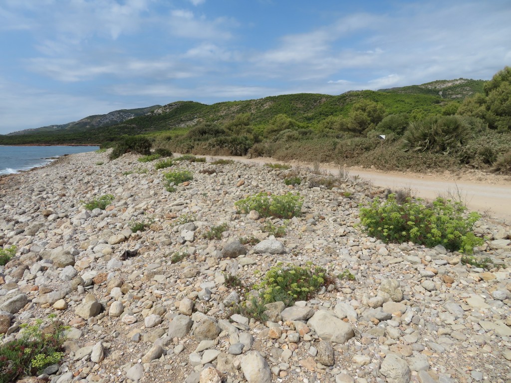 Senderismo en el Parque Natural Serra d’Irta, Peñíscola