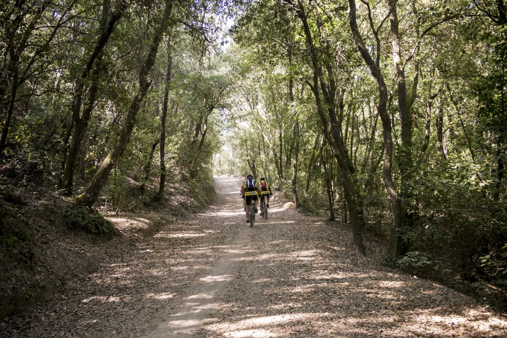 Senderismo por el Parque Natural de Collserola, Barcelona