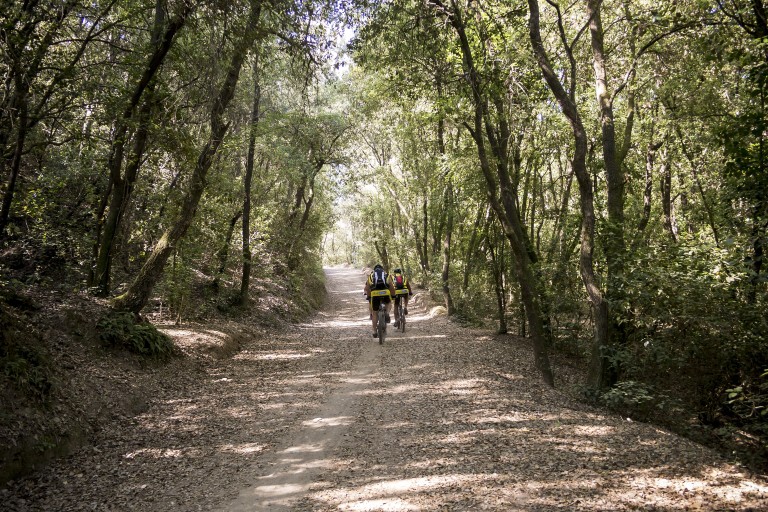 Senderismo por el Parque Natural de Collserola, Barcelona