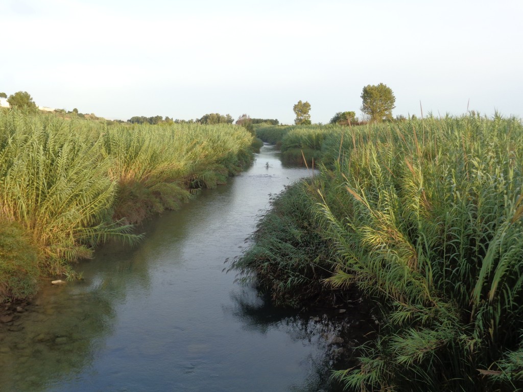 Senderismo por el Parque Natural del Turia, Valencia