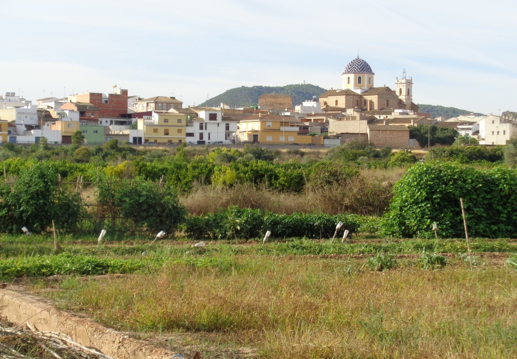 Senderismo por el Parque Natural del Turia, Valencia