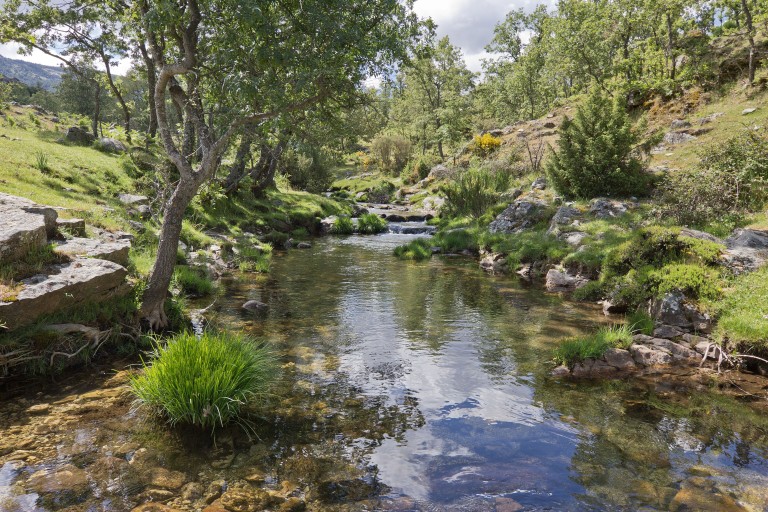Senderismo por el Valle del Lozoya, Sierra de Guadarrama (Madrid)