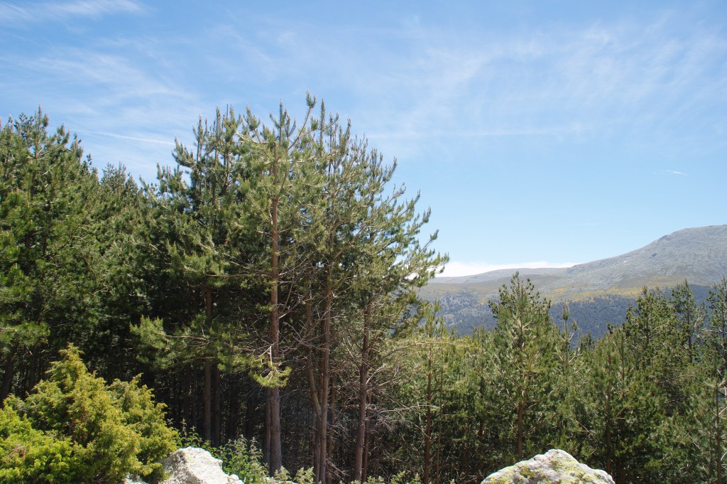 Senderismo por el Valle del Lozoya, Sierra de Guadarrama (Madrid)