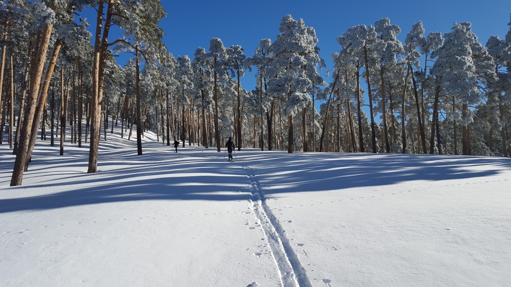 Senderismo por el Valle del Lozoya, Sierra de Guadarrama (Madrid)
