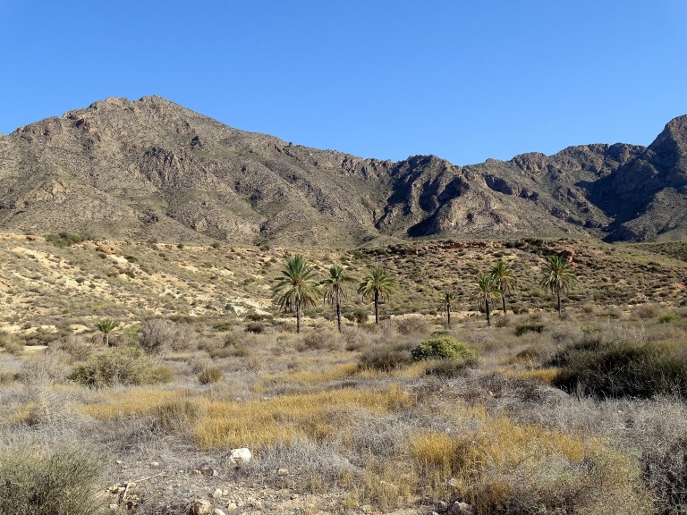 Senderismo por la Sierra de las Moreras, Mazarrón (Murcia)