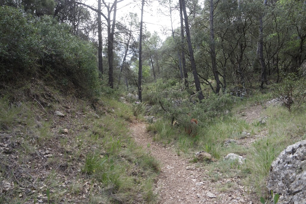 Senderismo por la Sierra de Salinas, Salinas (Alicante-Murcia)