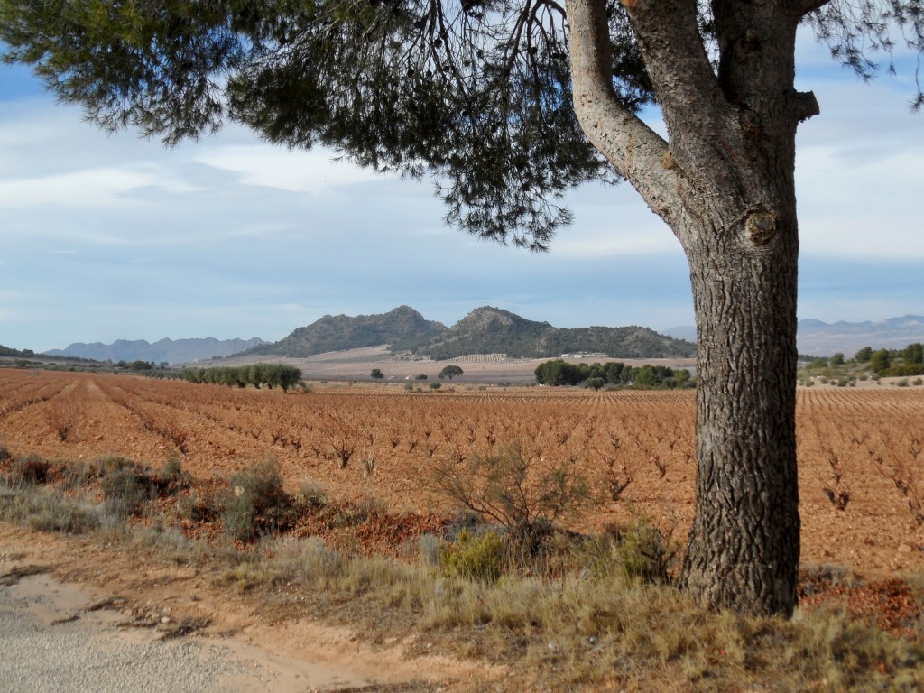 Senderismo por la Sierra de Salinas, Salinas (Alicante-Murcia)