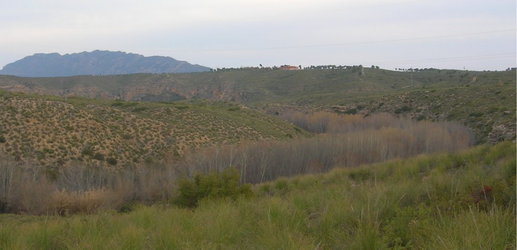 Sotos y Bosques de Ribera de Cañaverosa, Calasparra (Murcia)