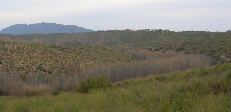 Sotos y Bosques de Ribera de Cañaverosa, Calasparra (Murcia)