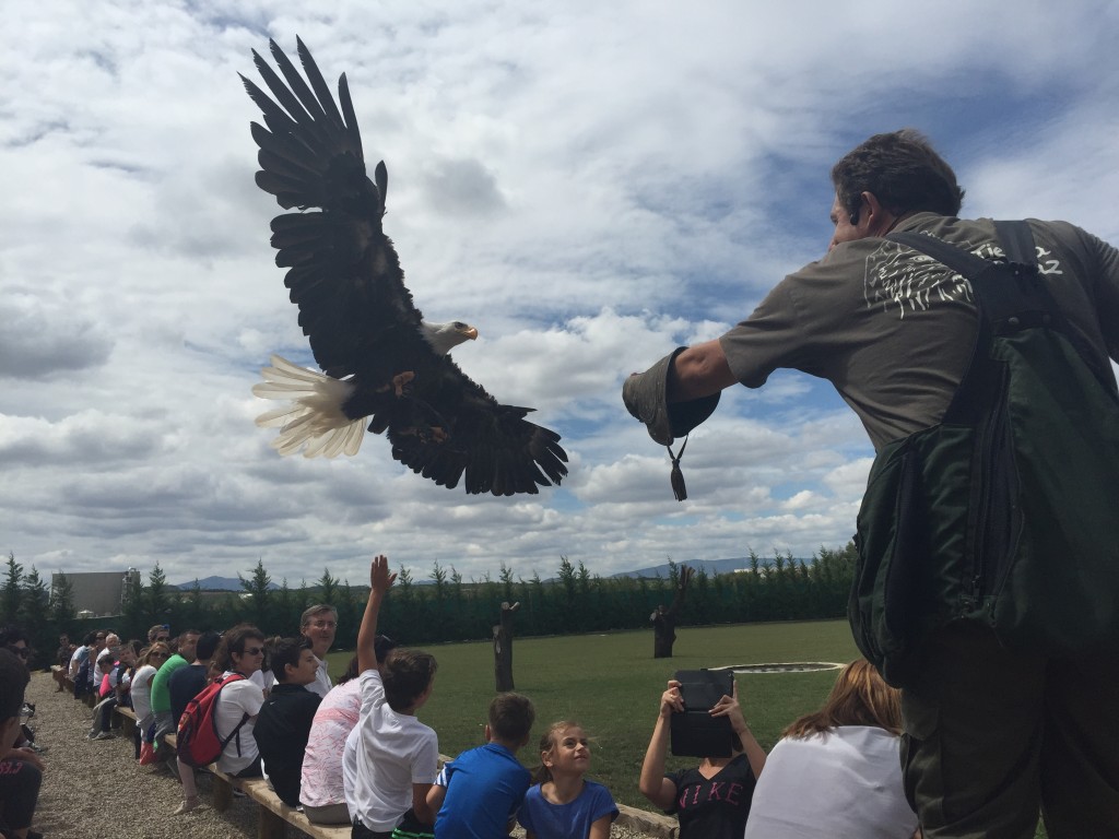 Tierra Rapaz, parque de aves rapaces en Calahorra, La Rioja