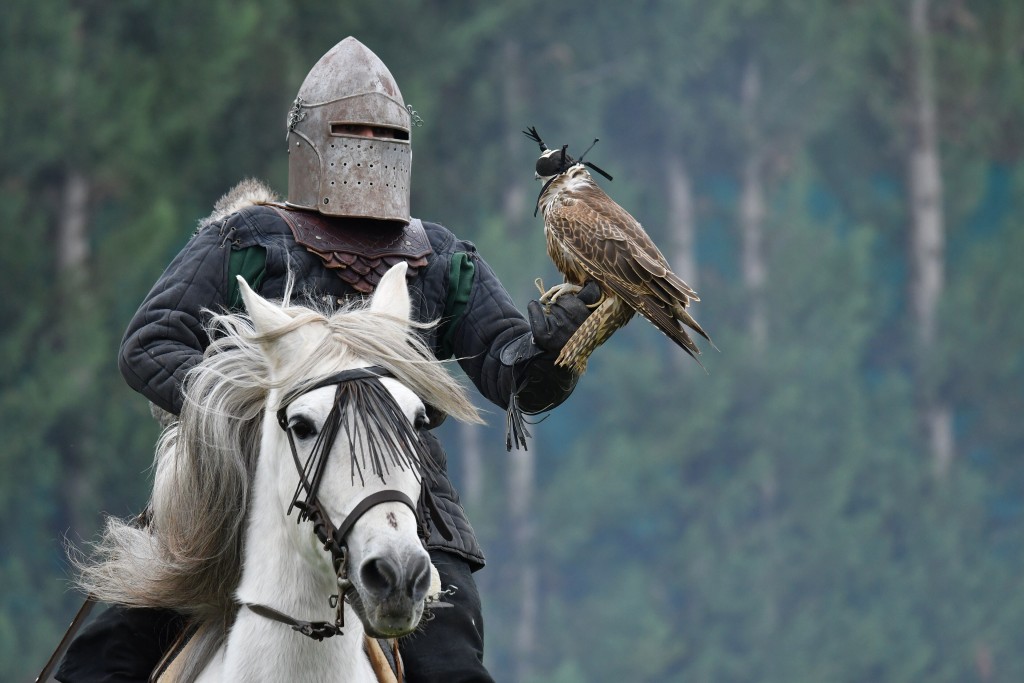 Tierra Rapaz, parque de aves rapaces en Calahorra, La Rioja