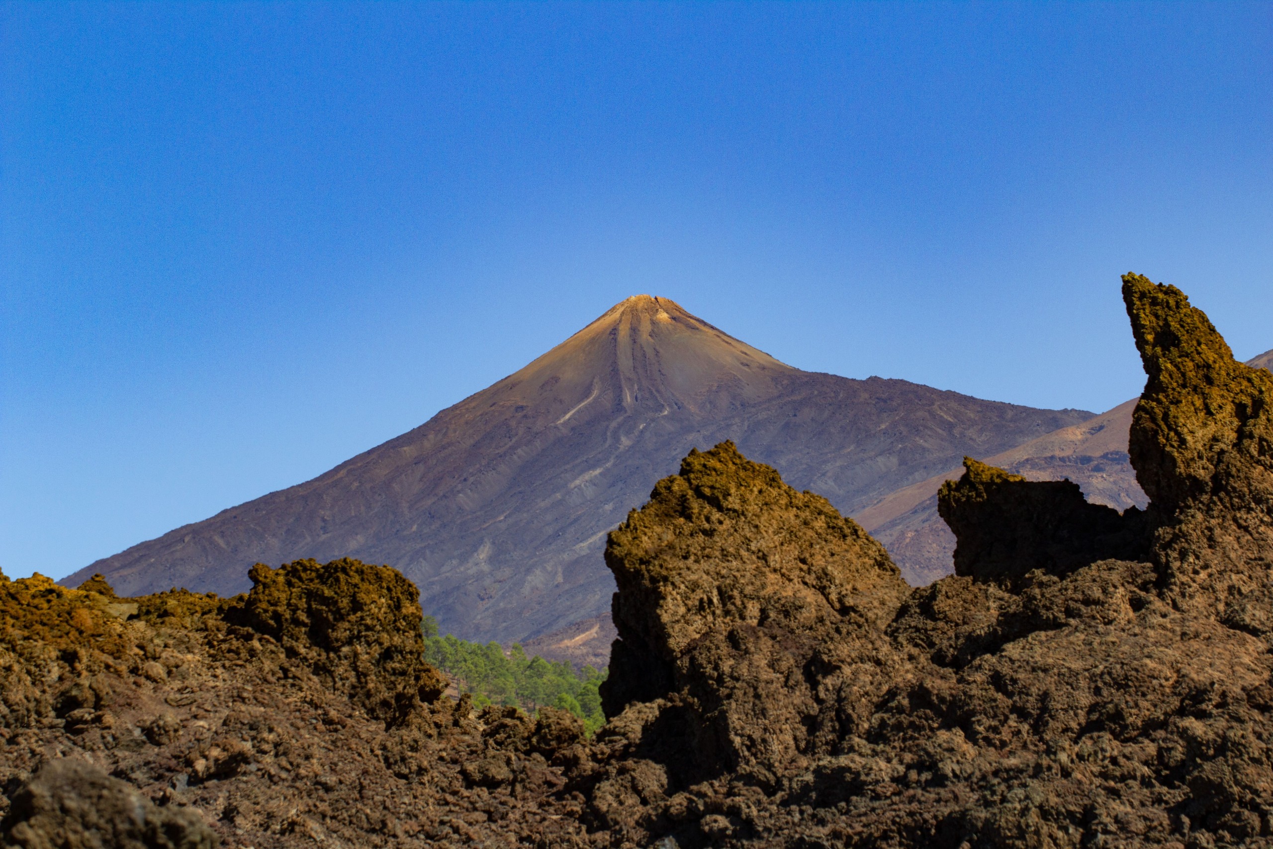 Canarias