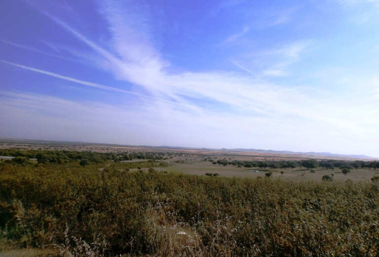 ZIR Llanos de Cáceres y Sierra de Fuentes, Cáceres