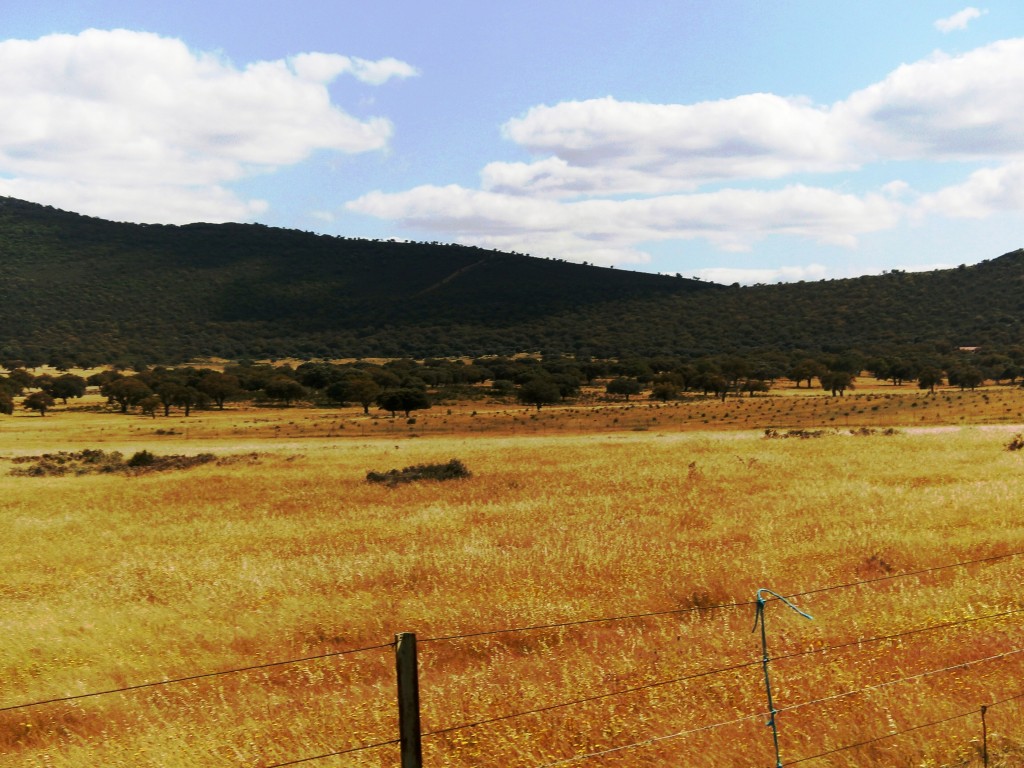 ZIR Sierra de San Pedro, Extremadura