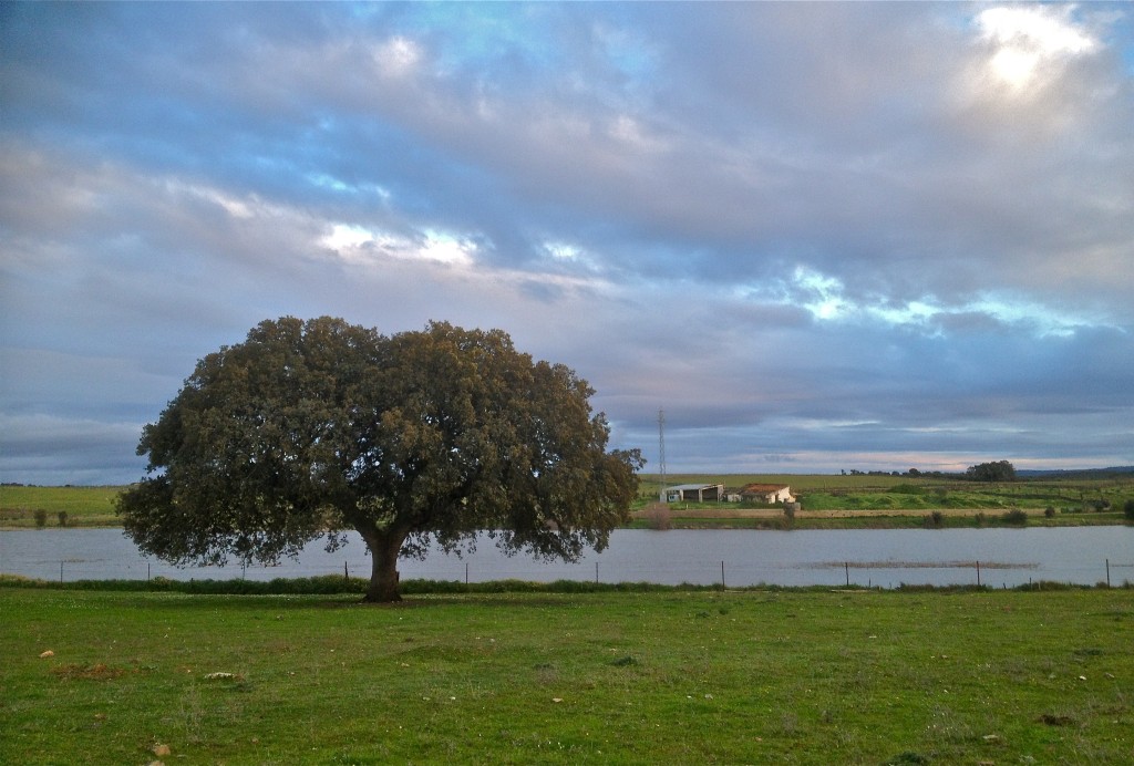 ZIR Sierra de San Pedro, Extremadura