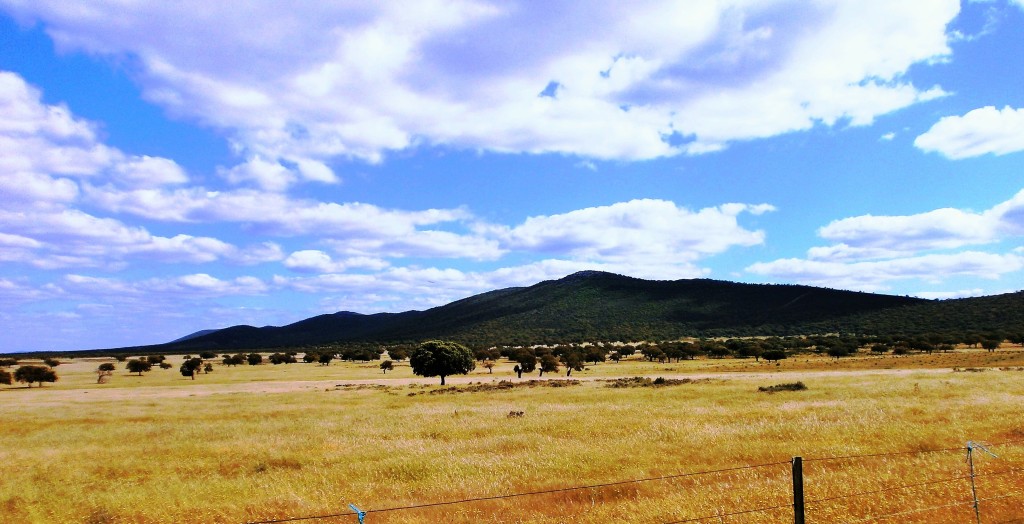 ZIR Sierra de San Pedro, Extremadura