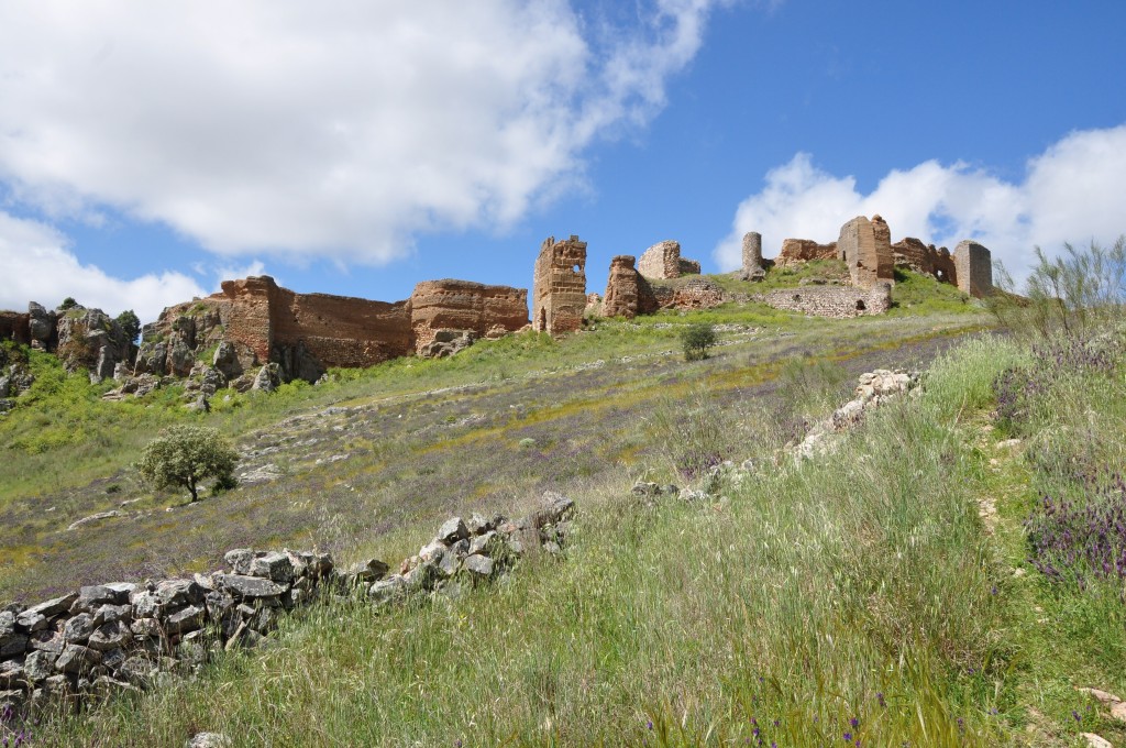 ZIR Sierra Grande de Hornachos, Badajoz