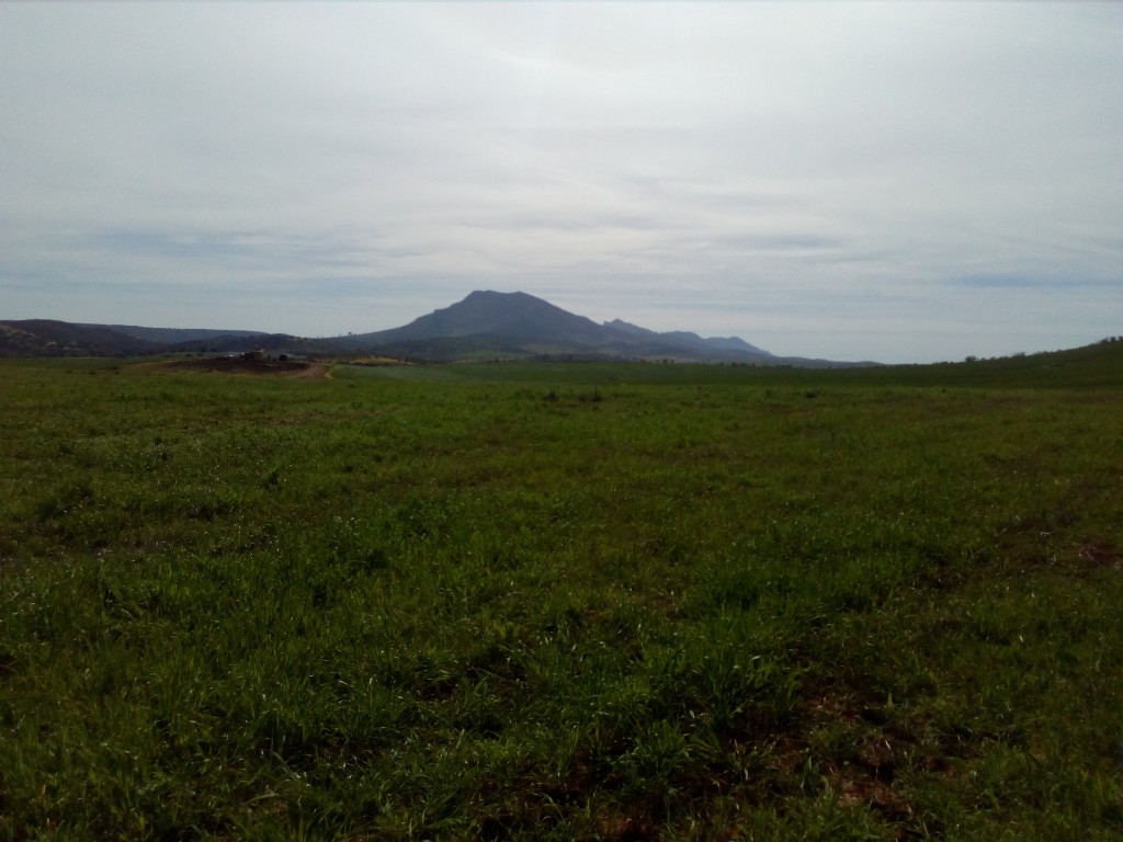 ZIR Sierra Grande de Hornachos, Badajoz