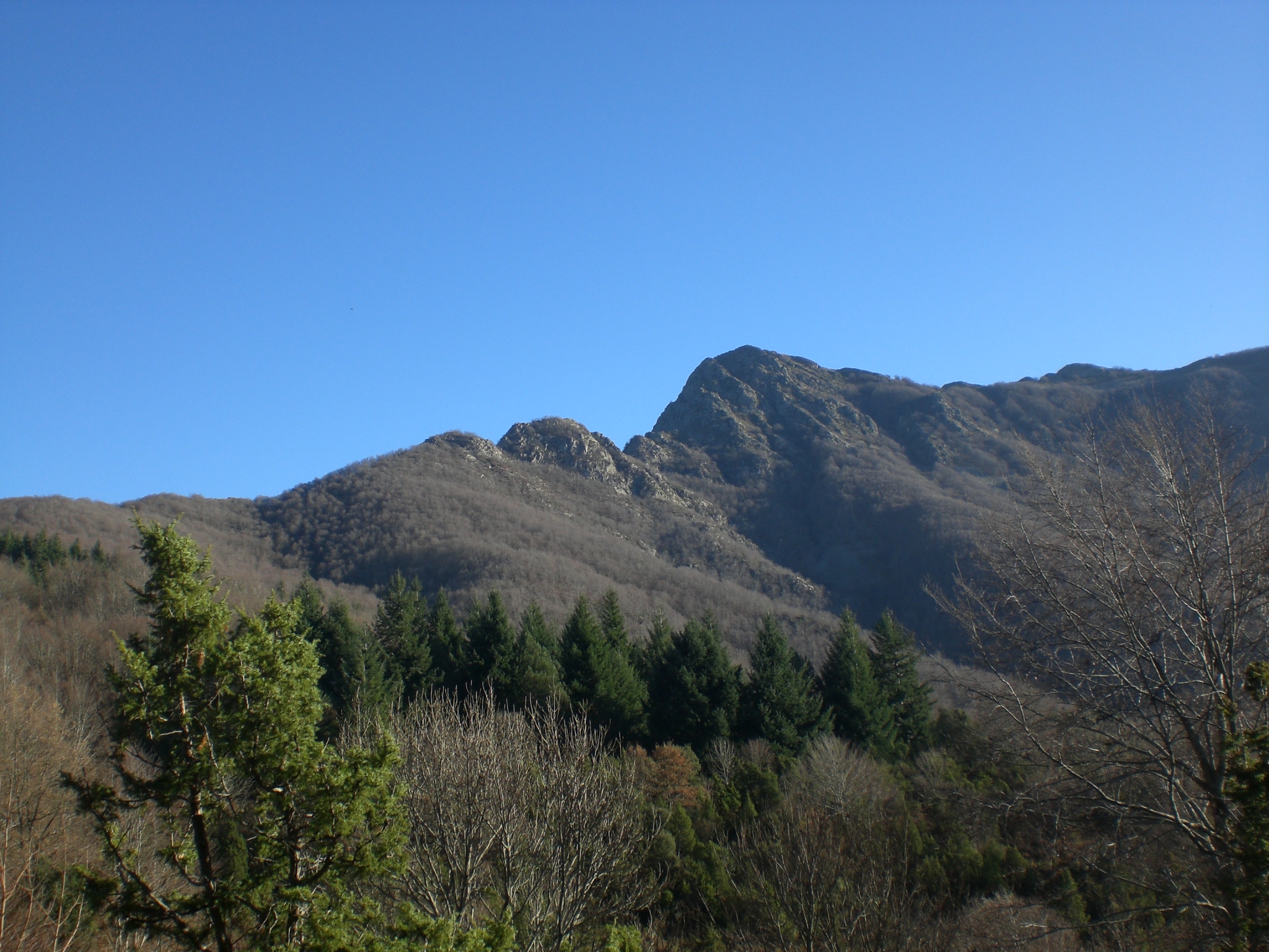 Paisaje de Montseny