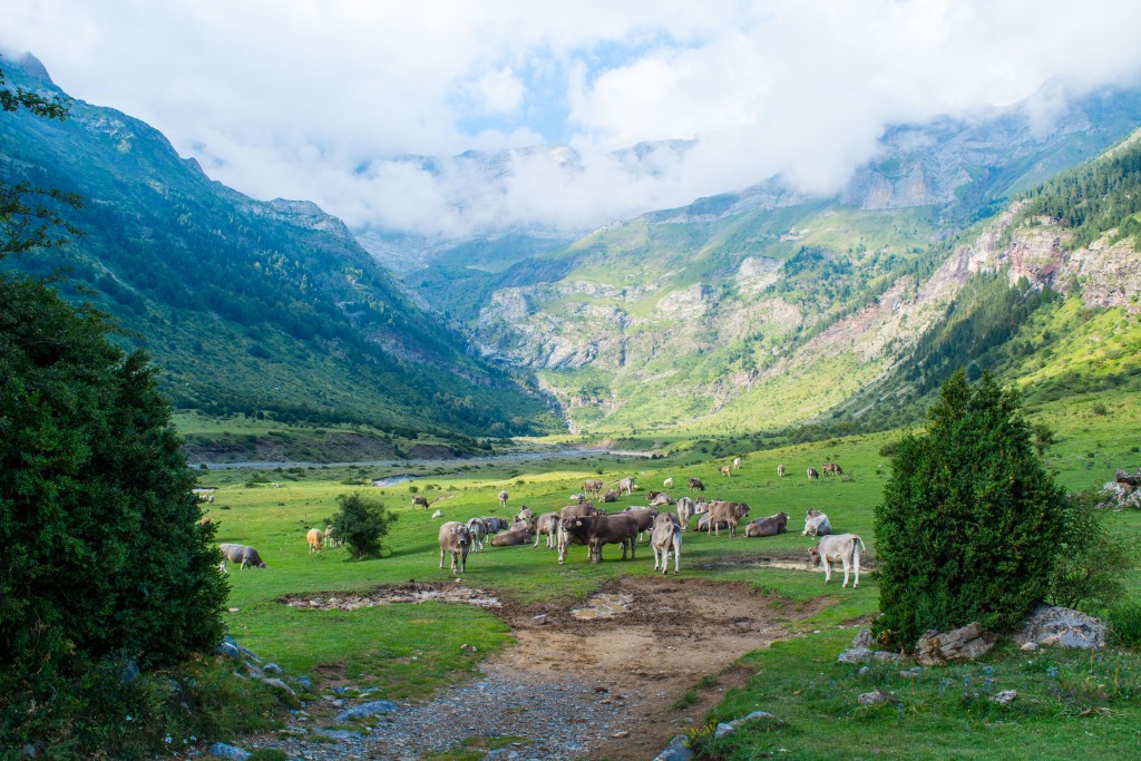 Imagen de referencia de la zona Pirineos