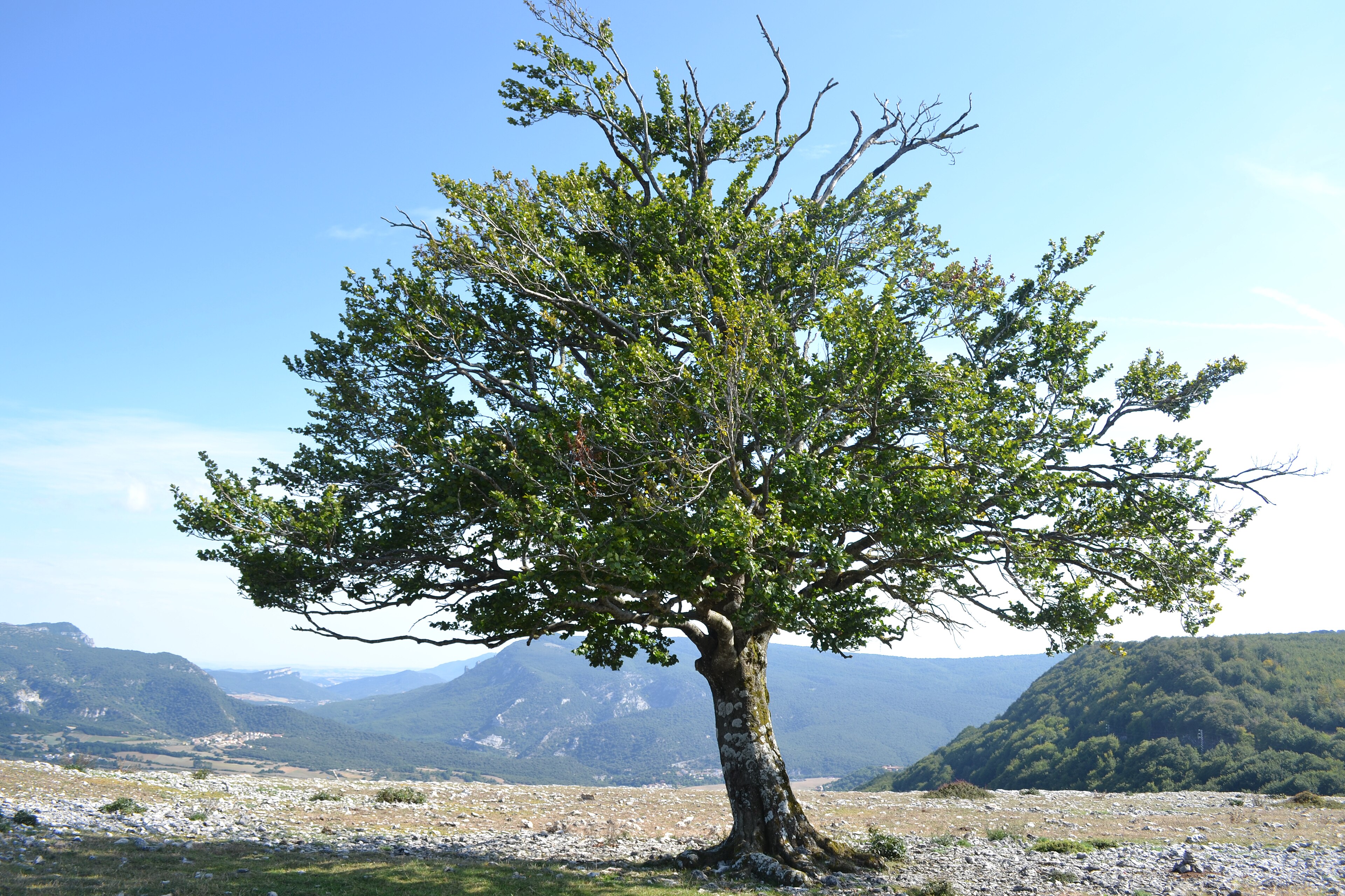 Paisaje de Urbasa-Andía y Tierra Estella