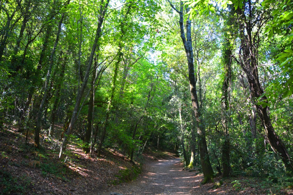 Zona Volcánica de la Garrotxa, Girona