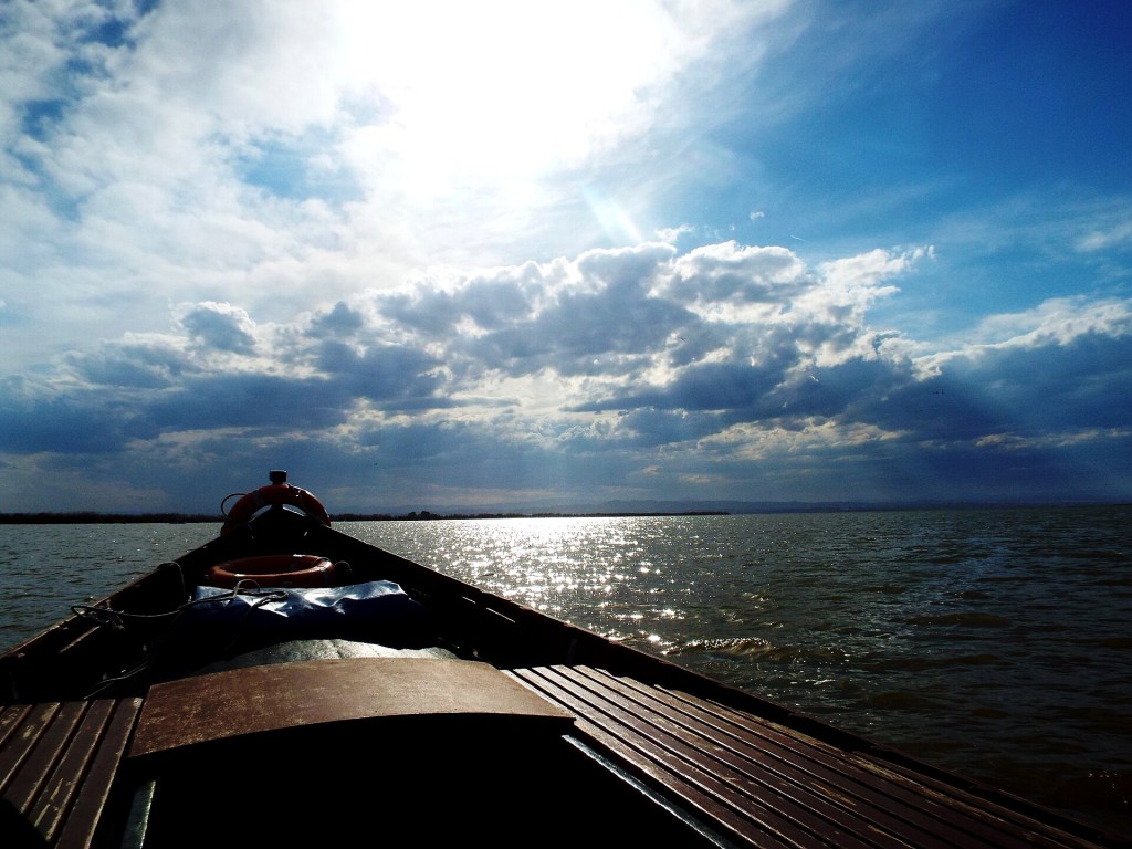 Proa de una barca tradicional navegando por la Albufera