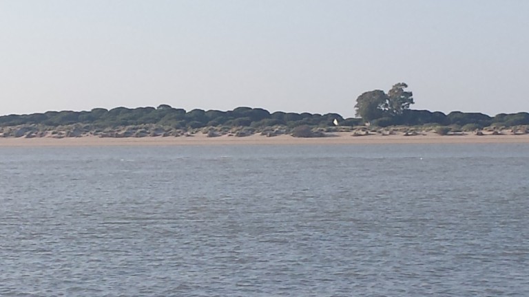 Barco Real Fernando: Doñana por el Guadalquivir desde Sanlúcar