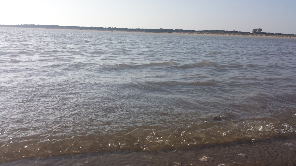 Barco Real Fernando: Doñana por el Guadalquivir desde Sanlúcar