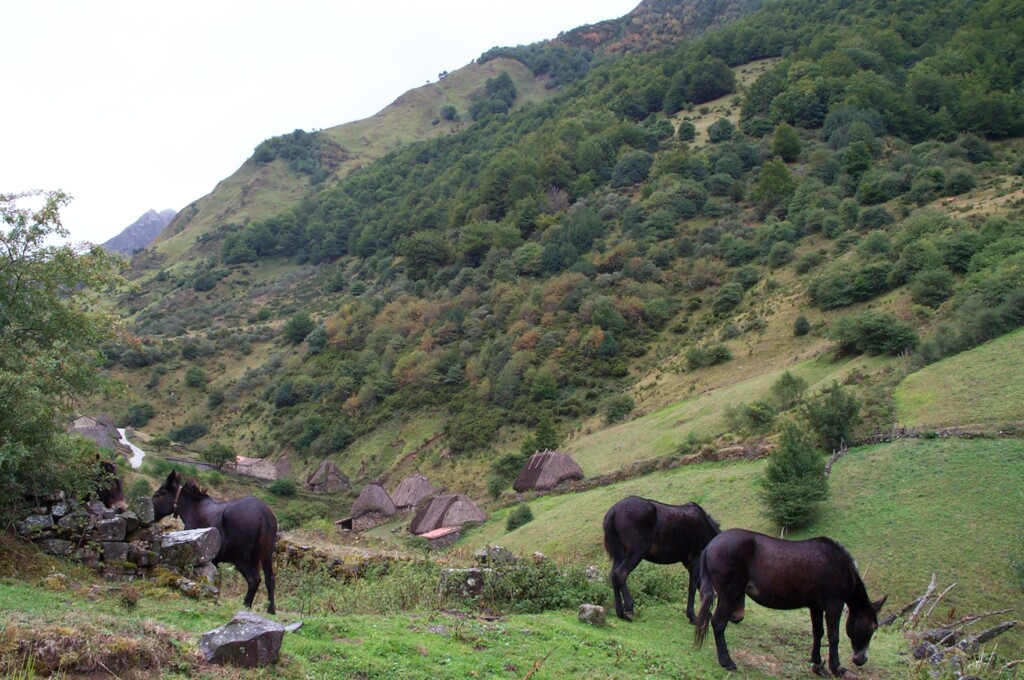 Braña de La Pornacal: ruta a los teitos de Somiedo (Asturias)