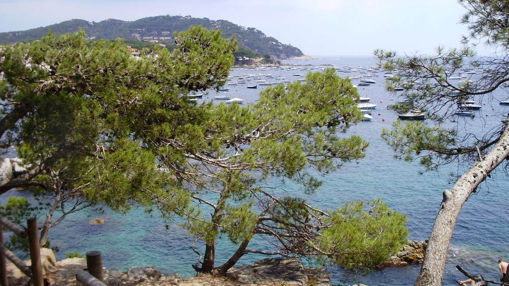 Camino de ronda de Calella de Palafrugell a Begur (GR-92)