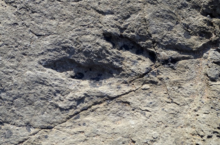 Costa de los Dinosaurios: huellas de la playa de La Griega, Colunga