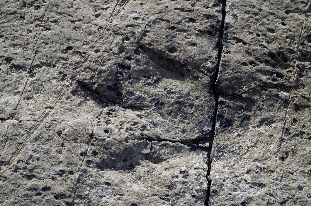 Costa de los Dinosaurios: huellas de la playa de La Griega, Colunga