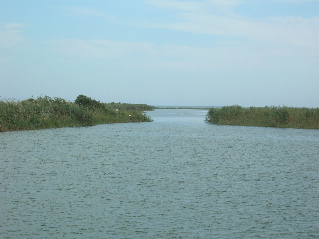 Crucero por la desembocadura del Ebro y la isla de Buda