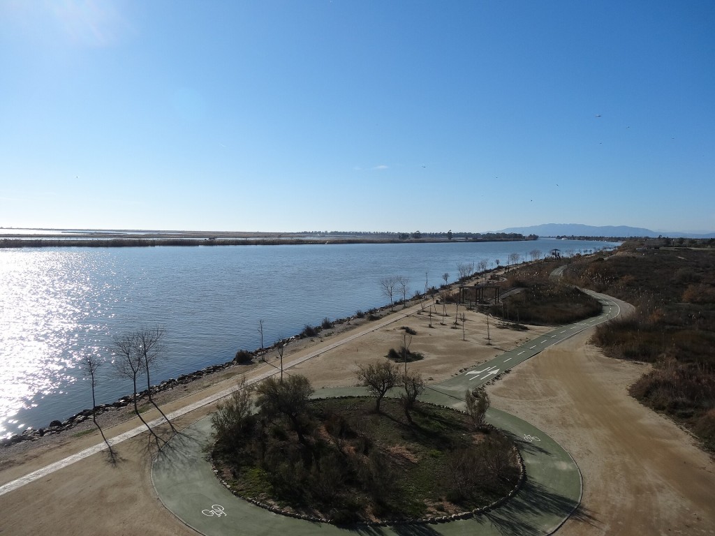 Crucero por la desembocadura del Ebro y la isla de Buda