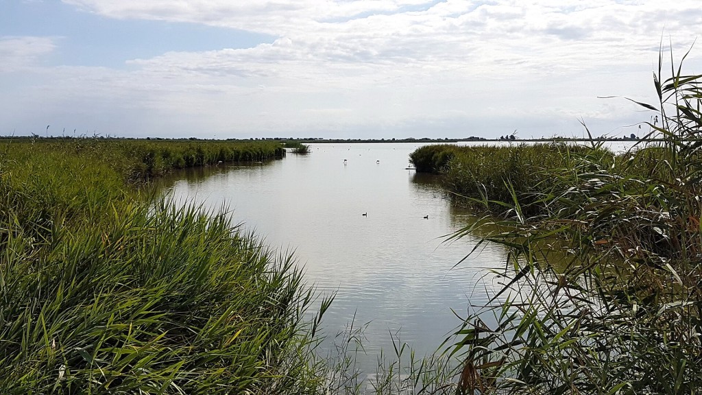 Crucero por la desembocadura del Ebro y la isla de Buda
