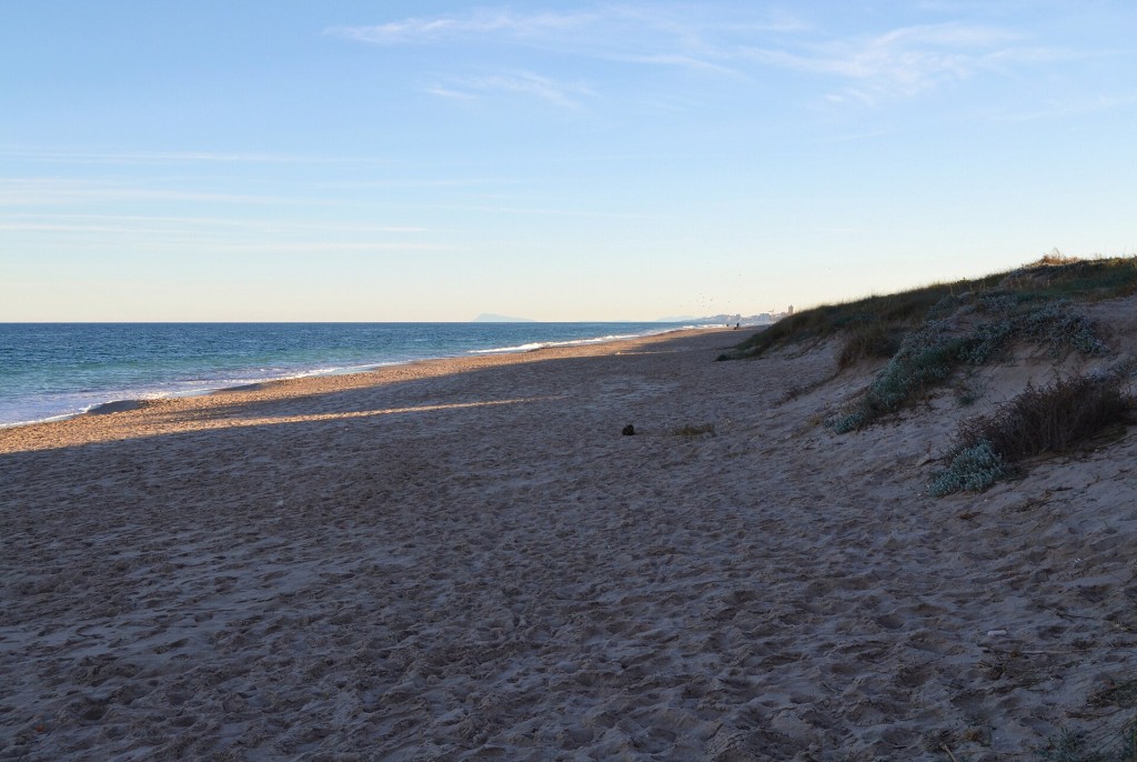 Playa de la Brava y dunas de la Devesa del Saler
