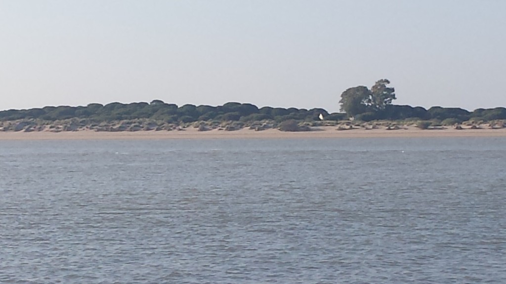 La orilla de Doñana desde Sanlúcar, al otro lado del Guadalquivir