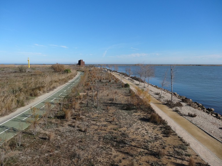 El Delta del Ebro en bici: arrozales, miradores y la desembocadura