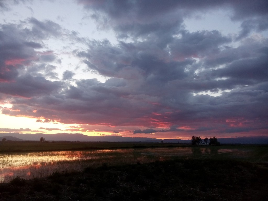 El Delta del Ebro en bici: arrozales, miradores y la desembocadura