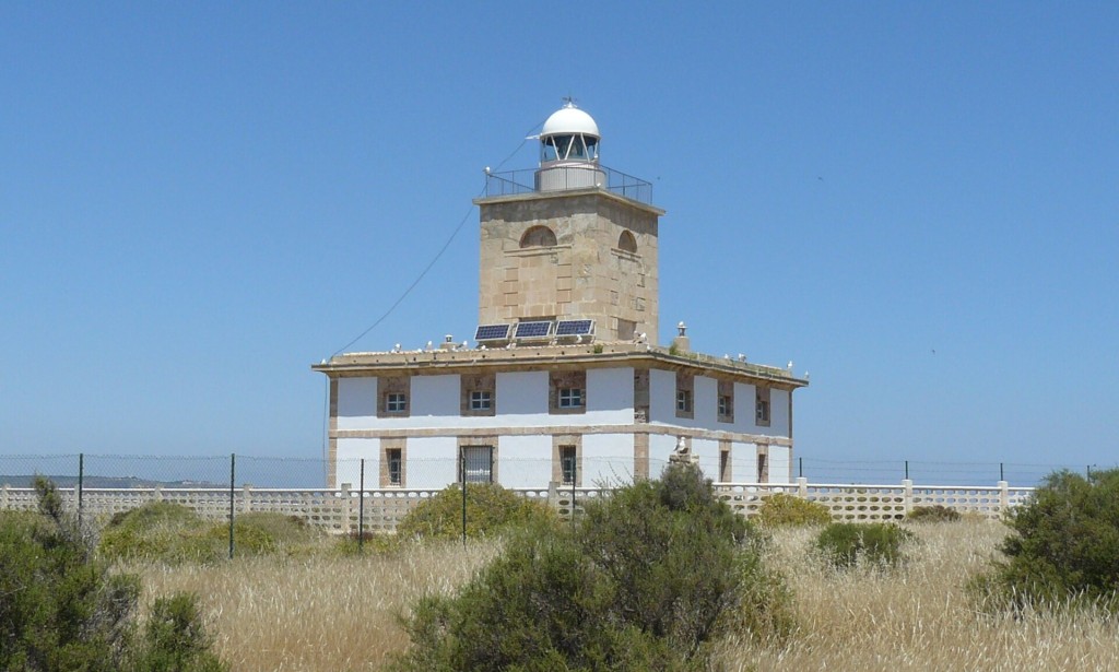 Esnórquel en la reserva marina de Tabarca, Santa Pola (Alicante)